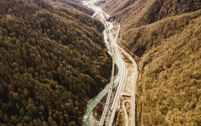 Wildlife Corridors: How Connecting Habitats Saves Species