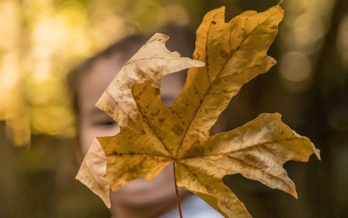 How to Raise Kids Who Love Nature