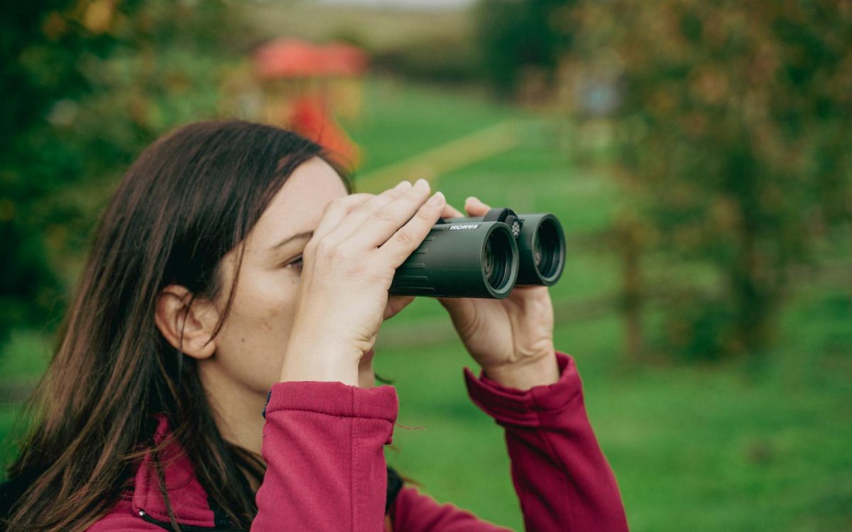 Bird Watching for Beginners: A Simple Start-Here Guide