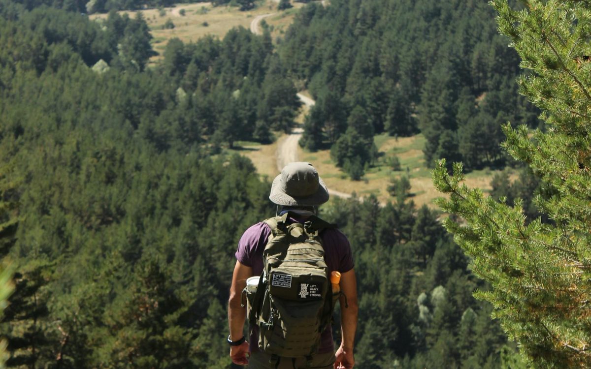 How to Stay Safe Around Wildlife: A Calm Guide