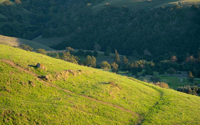 How to Support Conservation Without Spending Much