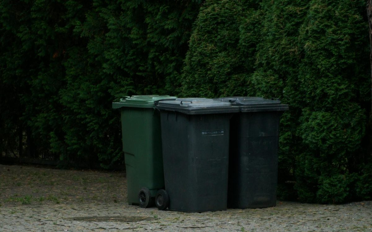 How to Keep Wildlife Out of Your Trash, Humanely