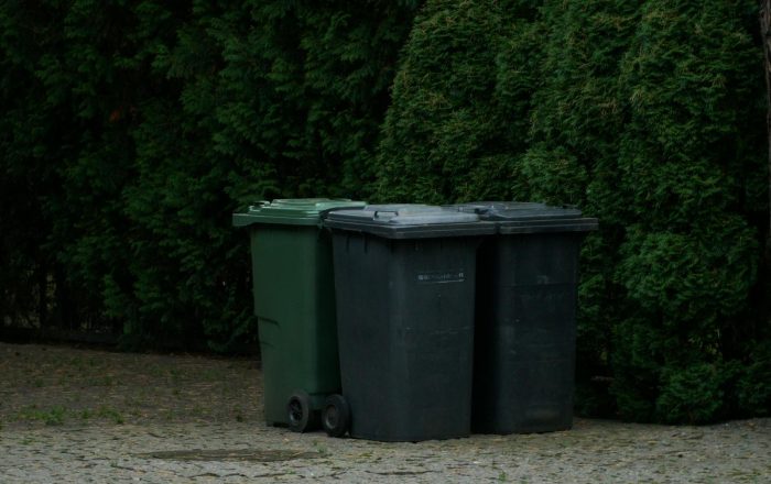 How to Keep Wildlife Out of Your Trash, Humanely