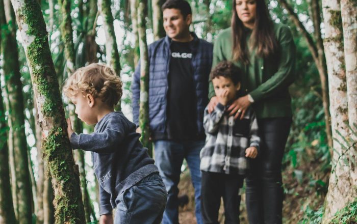 15 Family Nature Activities Kids Actually Love