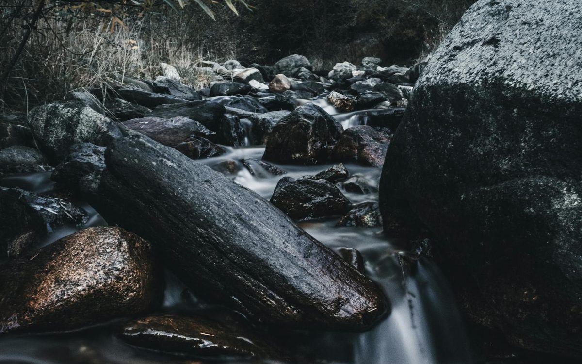 How to Listen to Nature: A Beginner’s Guide to Soundscapes