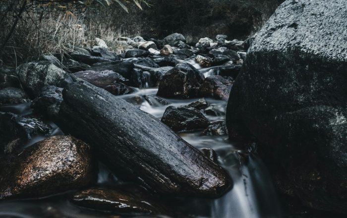 How to Listen to Nature: A Beginner’s Guide to Soundscapes