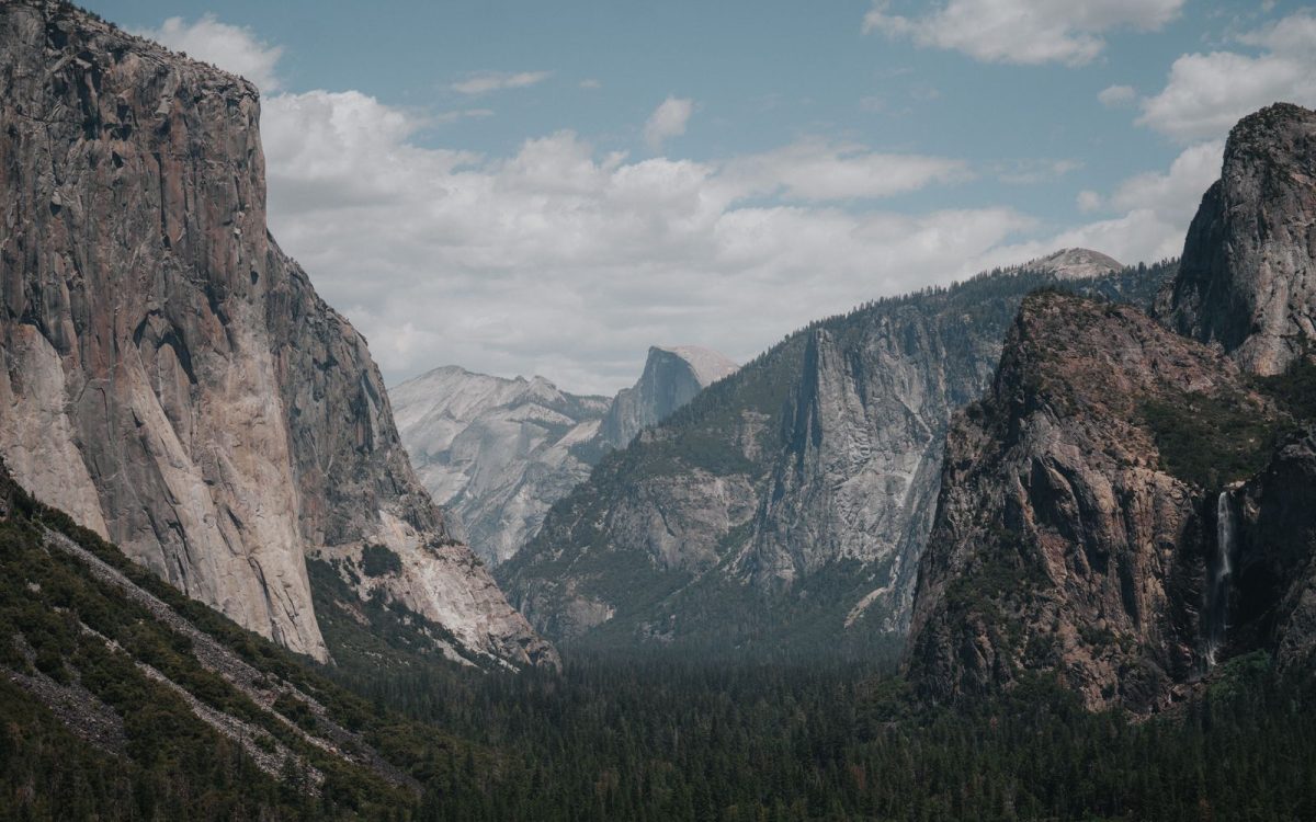National Parks and Reserves: How Protected Areas Protect Wildlife