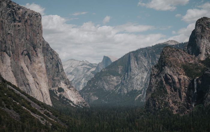 National Parks and Reserves: How Protected Areas Protect Wildlife