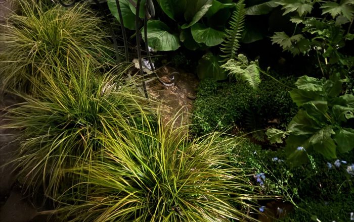 How to Make Your Yard Wildlife-Friendly in 10 Steps