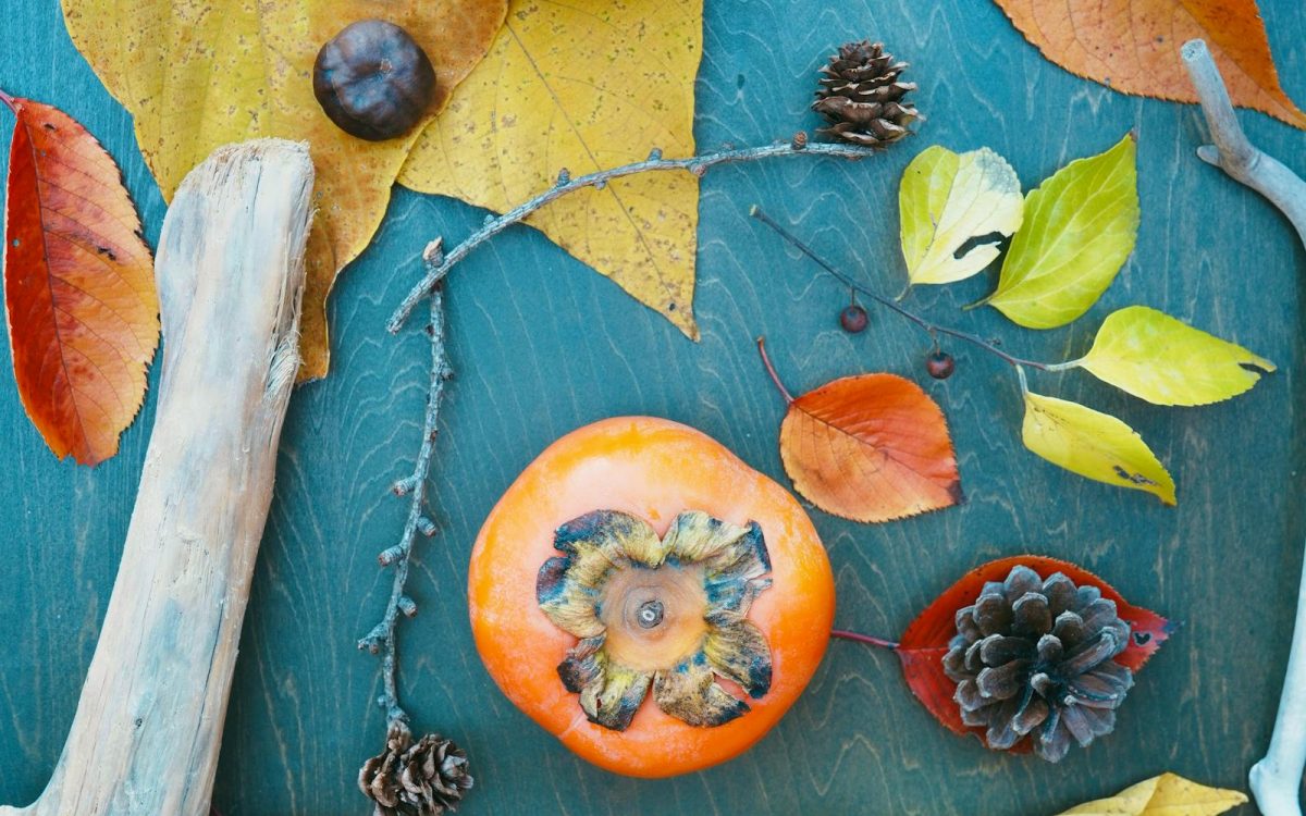 Nature Collecting for Families, Done Responsibly