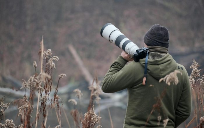 The Ethics of Wildlife Photography for Beginners