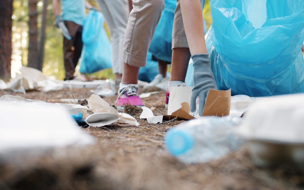 15 Local Conservation Actions That Actually Help