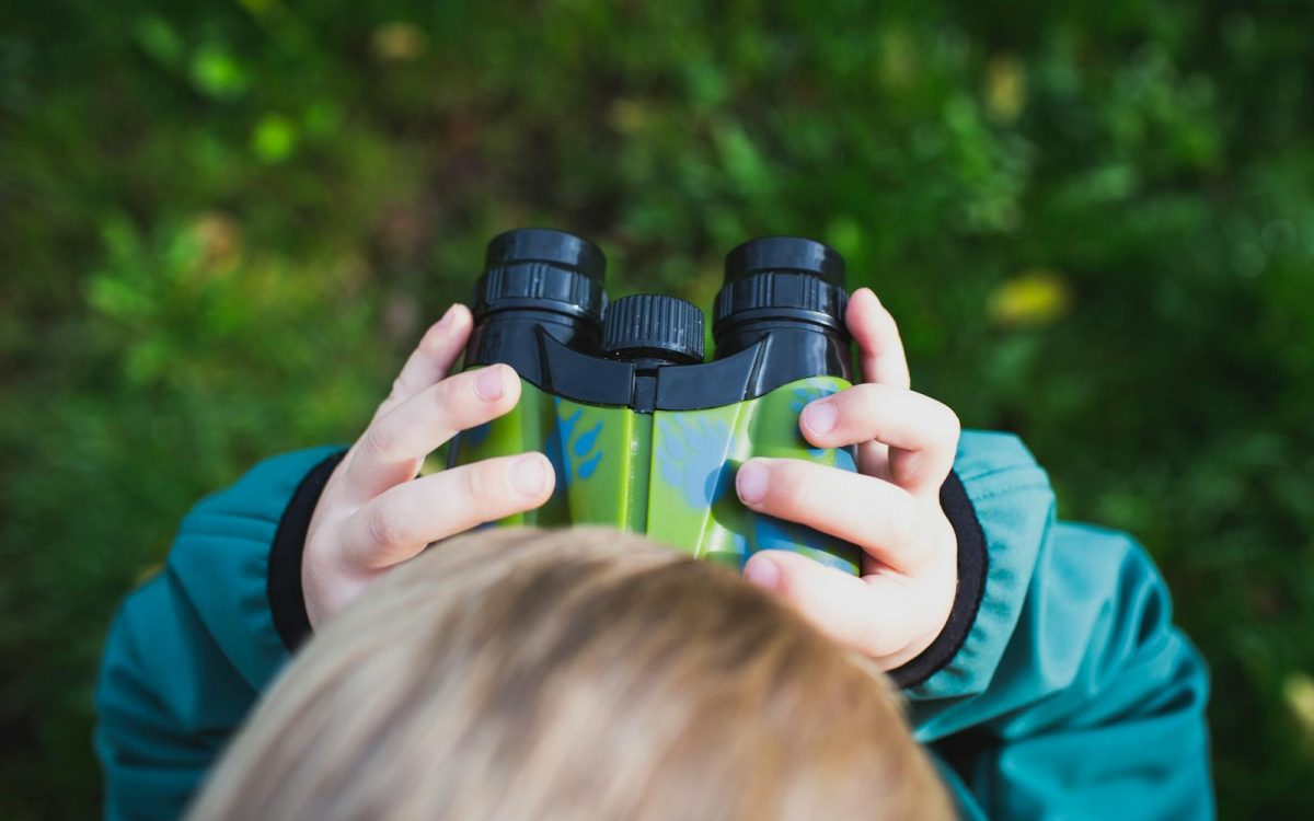 20 Wildlife Basics Every Beginner Should Know