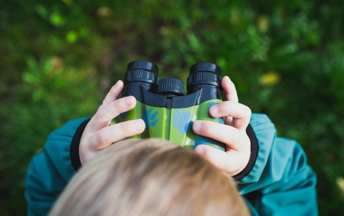 20 Wildlife Basics Every Beginner Should Know