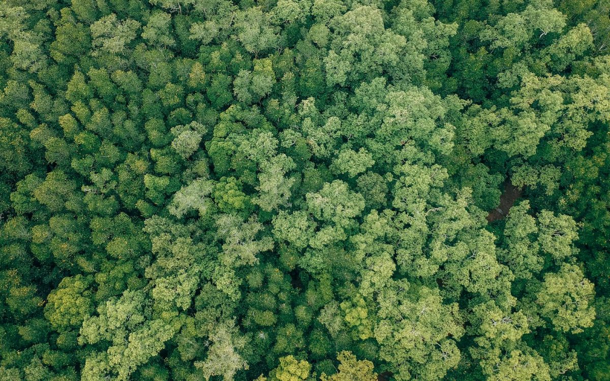 7 Conservation Myths That Do More Harm Than Good