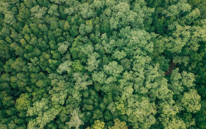 7 Conservation Myths That Do More Harm Than Good