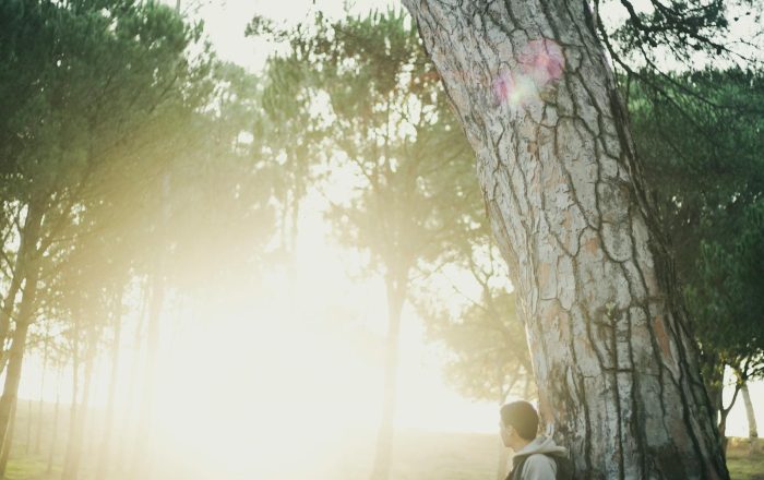 How to Spend Mindful Time in Nature, No Hiking Required