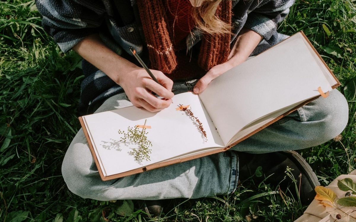 Nature Journaling for Beginners: A Gentle Start