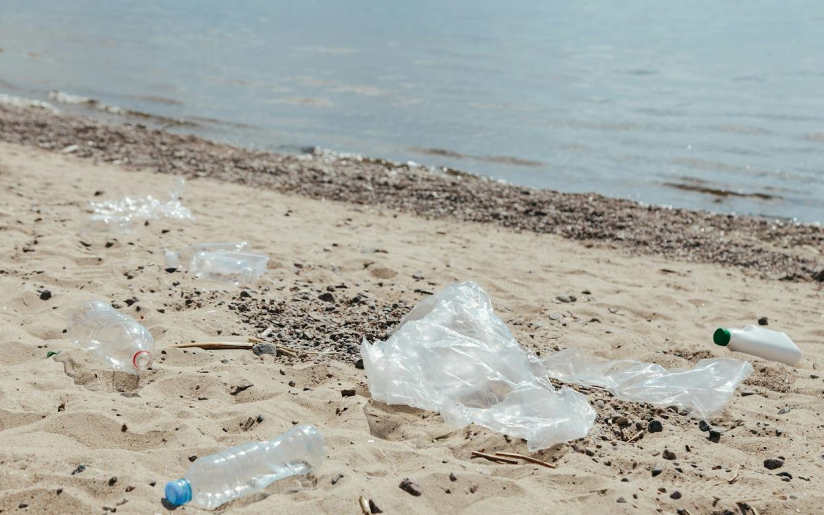 How Plastic Pollution Affects Wildlife, and What Reduces It
