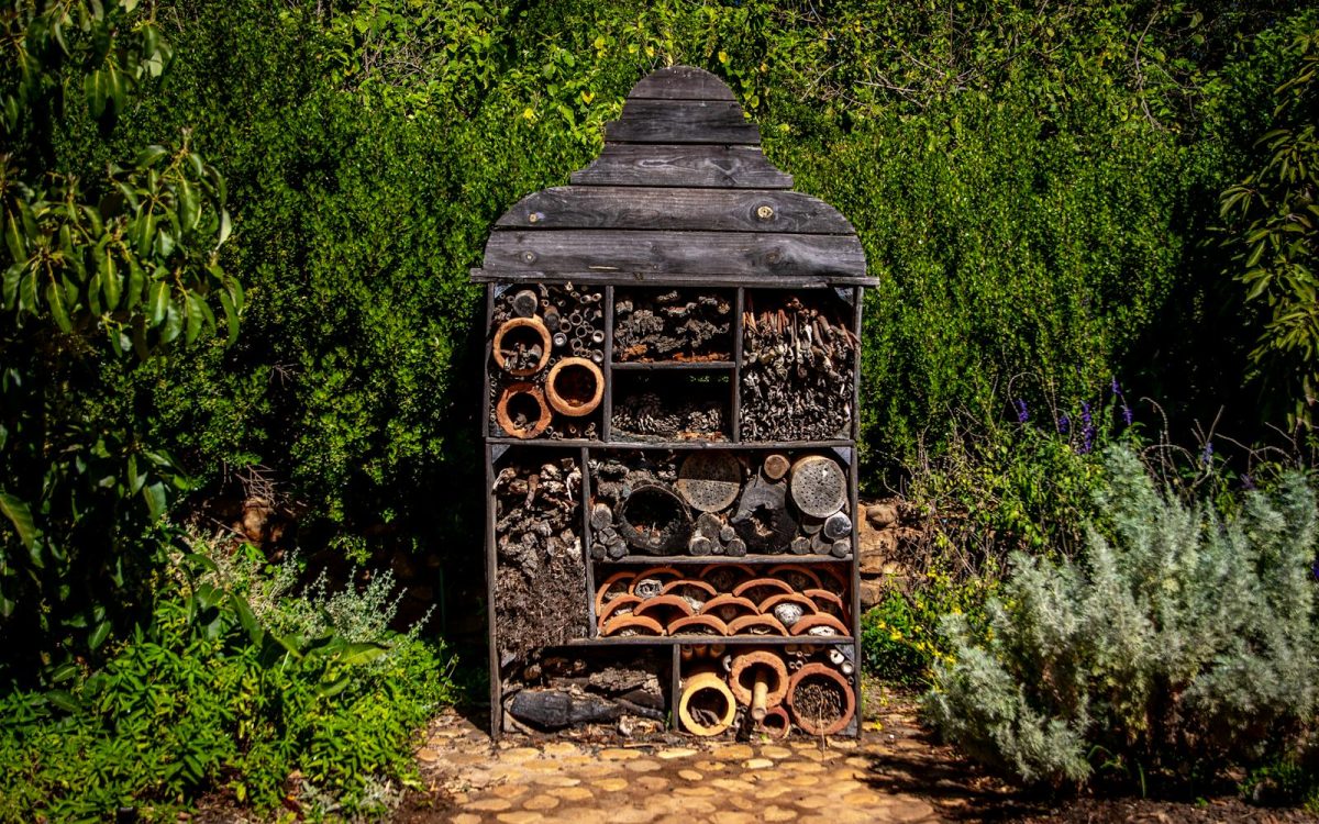 How to Build a Bug Hotel for Backyard Insects