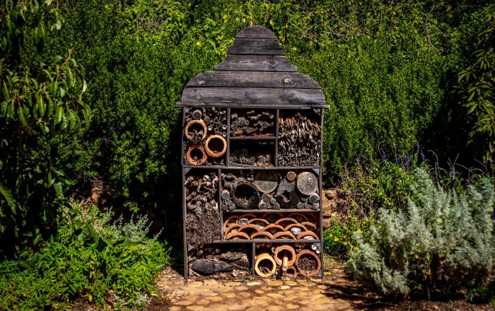 How to Build a Bug Hotel for Backyard Insects